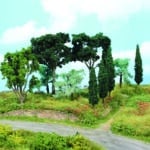 11 arbres méditerranéens HEKI-1774