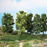 5 Arbres feuillus HEKI-1990