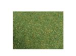 Flocage sol forestier HEKI-3383