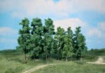 arbre heki-1362 UTM MF
