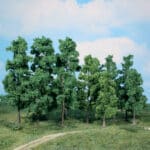 30 arbres feuillus HEKI-1362