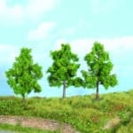 3 Arbres fruitiers HEKI-19100