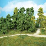 20 arbres feuillus HEKI-1955