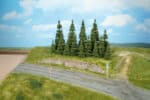 50 Sapins HEKI-2052 - UTM MF