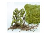HEKI-1532 Arbres en kit