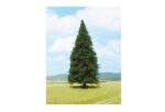 HEKI-2343 Majestueux sapin 35cm de hauteur échelle HO et O