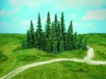 HEKI-2232 boite de 24 sapins de 9 à 15cm de hauteur echelle N, TT et HO