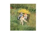 HEKI-1809 Touffes d'herbes fleuries HO et O