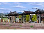 VOLLMER-43536 Quai couvert de gare SEEBURG HO