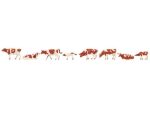 FALLER-151903 Lot de 6 vaches tachetées brunes HO
