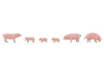 FALLER-151910 Lot de 6 porcs HO