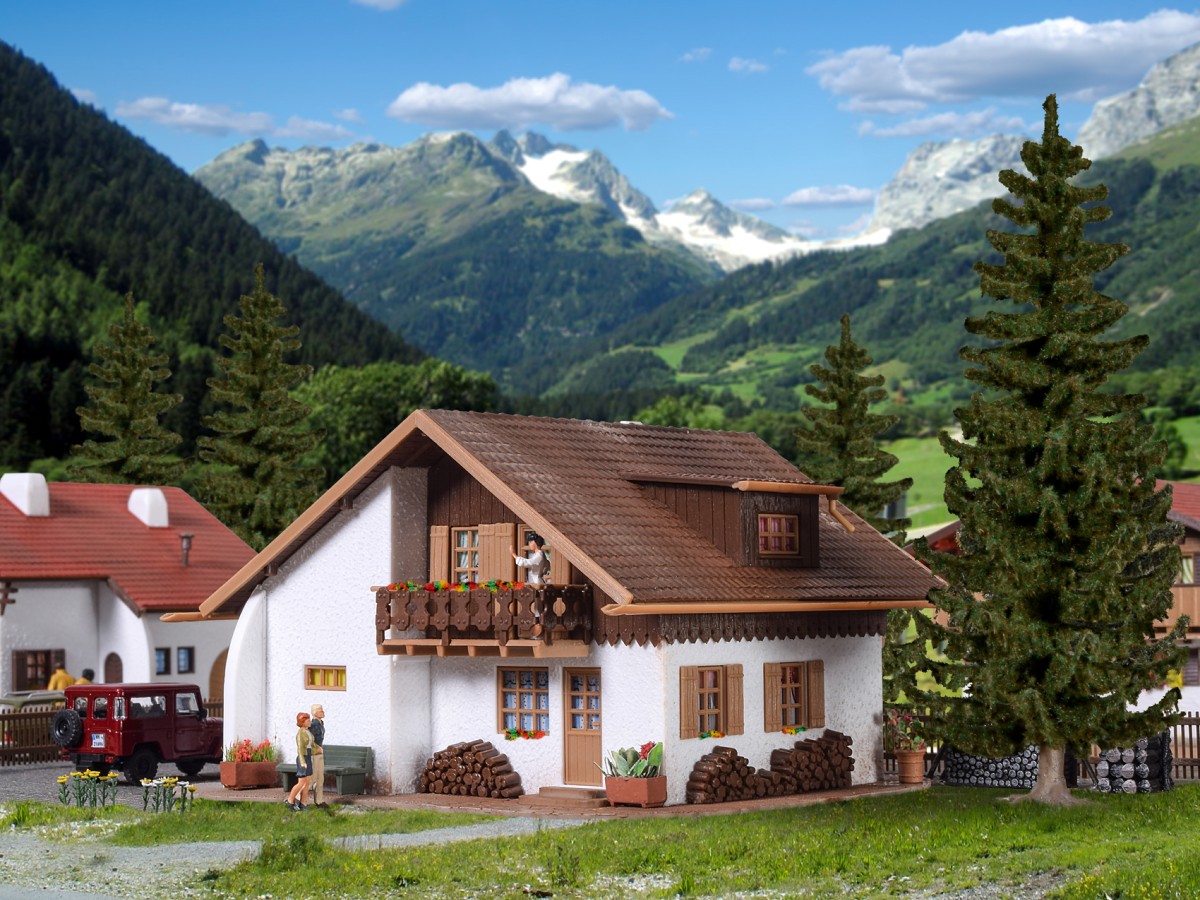 Chalet de montagne VOLLMER-49254