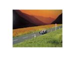 BUSCH-6033 Route de campagne HO et TT 66 x 1000