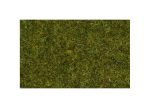 NOCH-07117 Herbe statique sauvage pour prairies 9mm vert clair 50 g