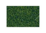 NOCH-07120 Herbe statique sauvage pour prairie 9mm vert foncé 50 g