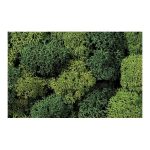 Lichen vert clair et vert foncé NOCH-08610